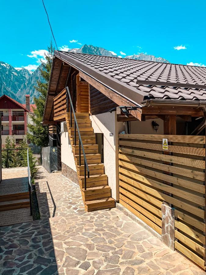Moon Montana Buşteni Exterior foto