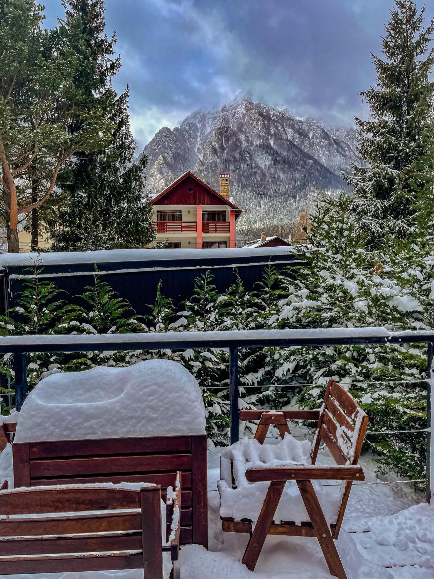 Moon Montana Buşteni Exterior foto